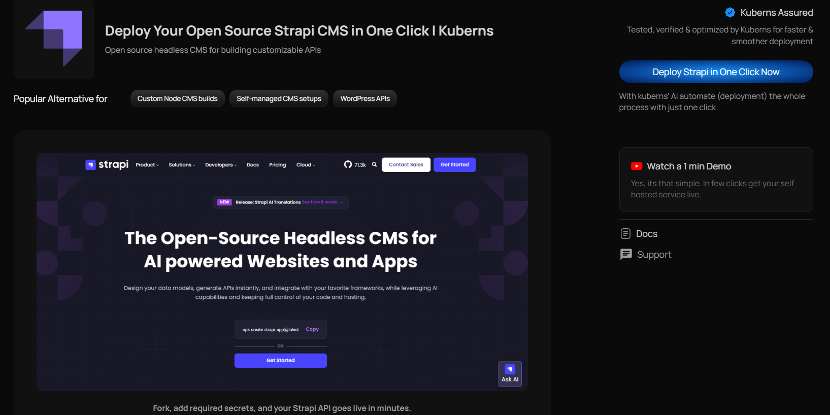 Strapi one-click template